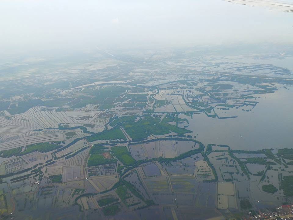 4. Mangrove losses due to aquaculture ponds, Indonesia 30412134_10155971540266999_8882082536671412224_n.jpg