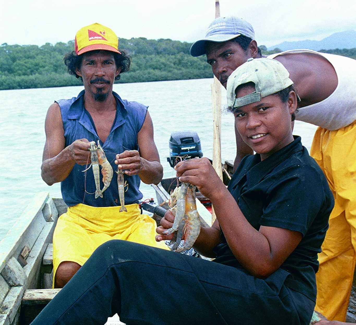 11. Mangroves are important nurseries for prawns_Darién Province, Panama (s).jpg