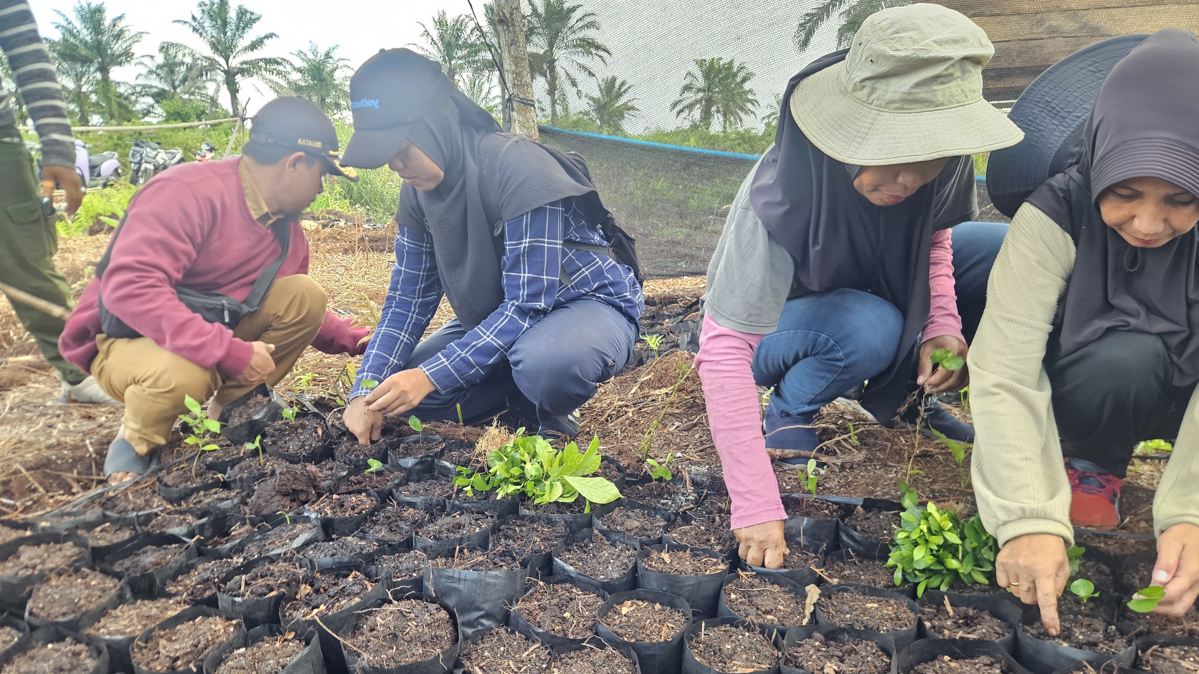 050825_Ari and Ida with planted Matoa.jpg